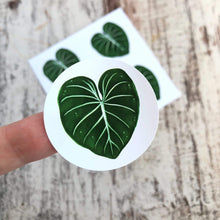 Load image into Gallery viewer, Stickers - Philodendron Gloriosum
