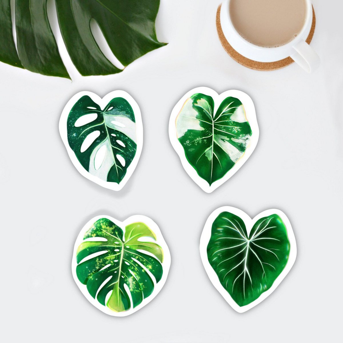 Magnets Set 4 - Variegated Plants L