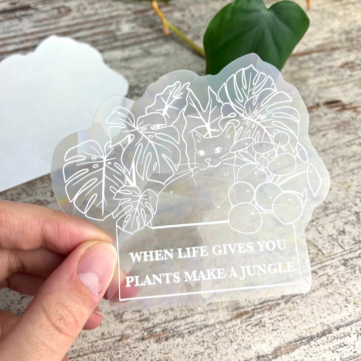 rainbow maker - when life gives you plants