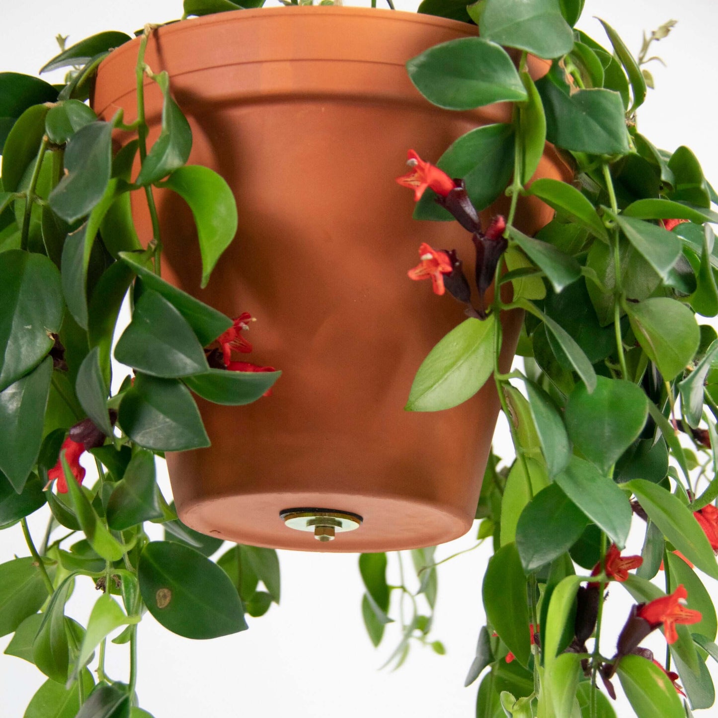 Hanging system plant pot