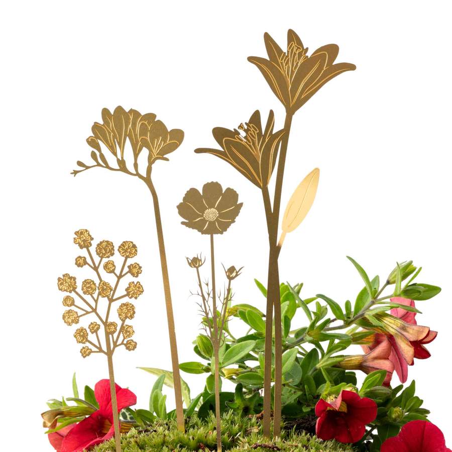 planten accessoires