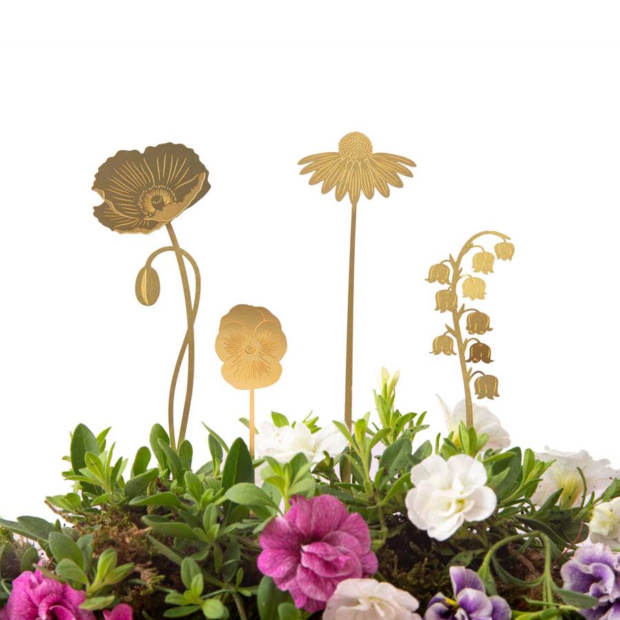 bloemen voor planten