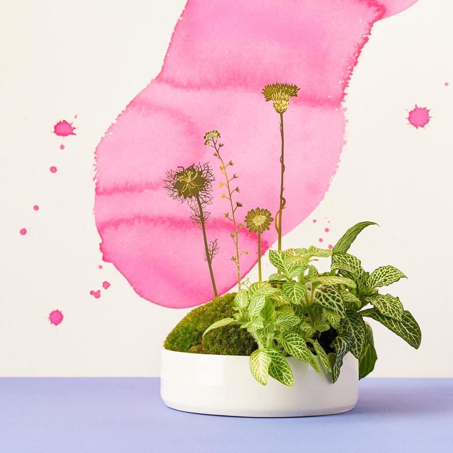 messing bloemen plant