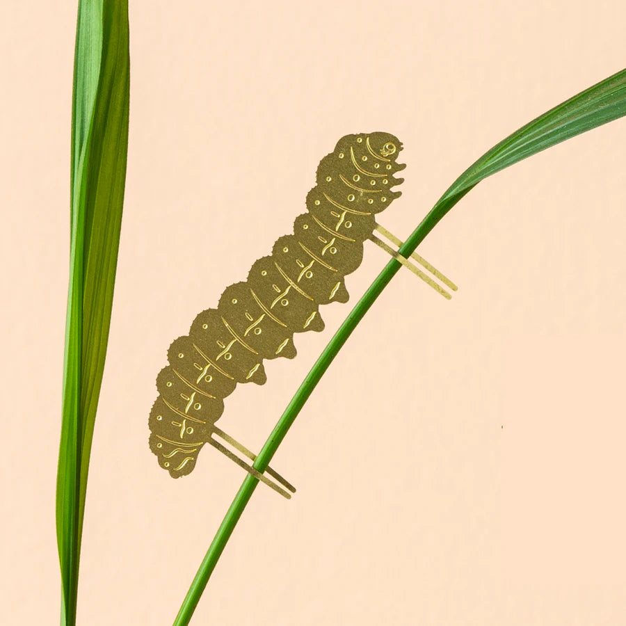 Plantendiertje - Rups