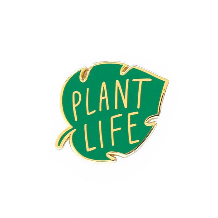 pin plant plants planten badge cactus vetplant succulent