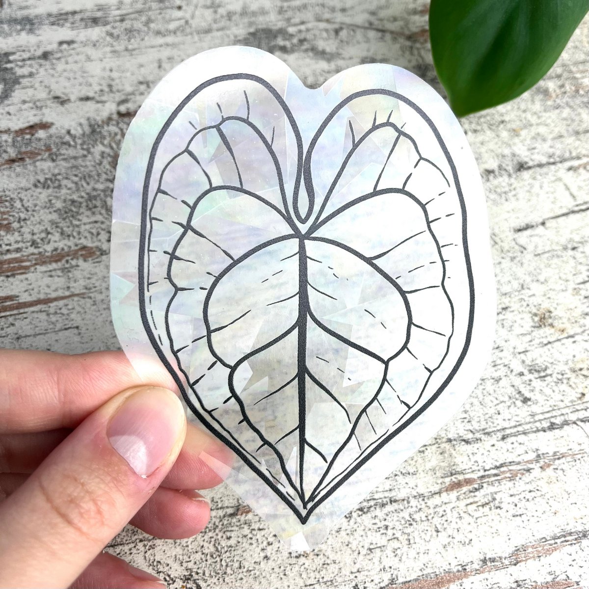 Regenboog Sticker - Anthurium Blad