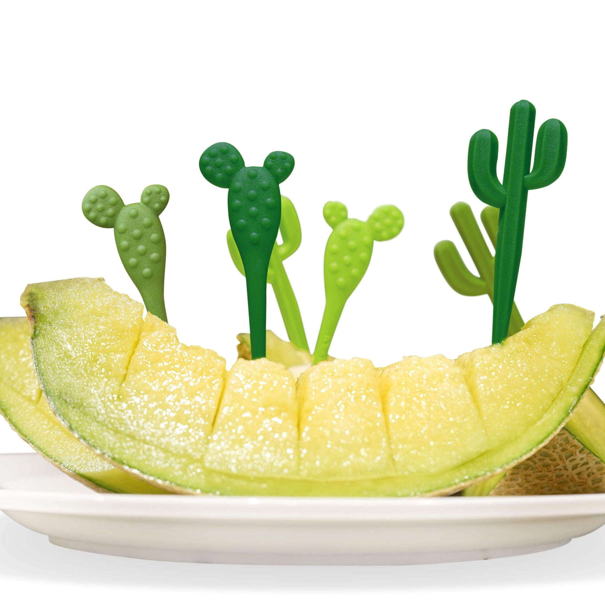 Cactus Picks | Qualy