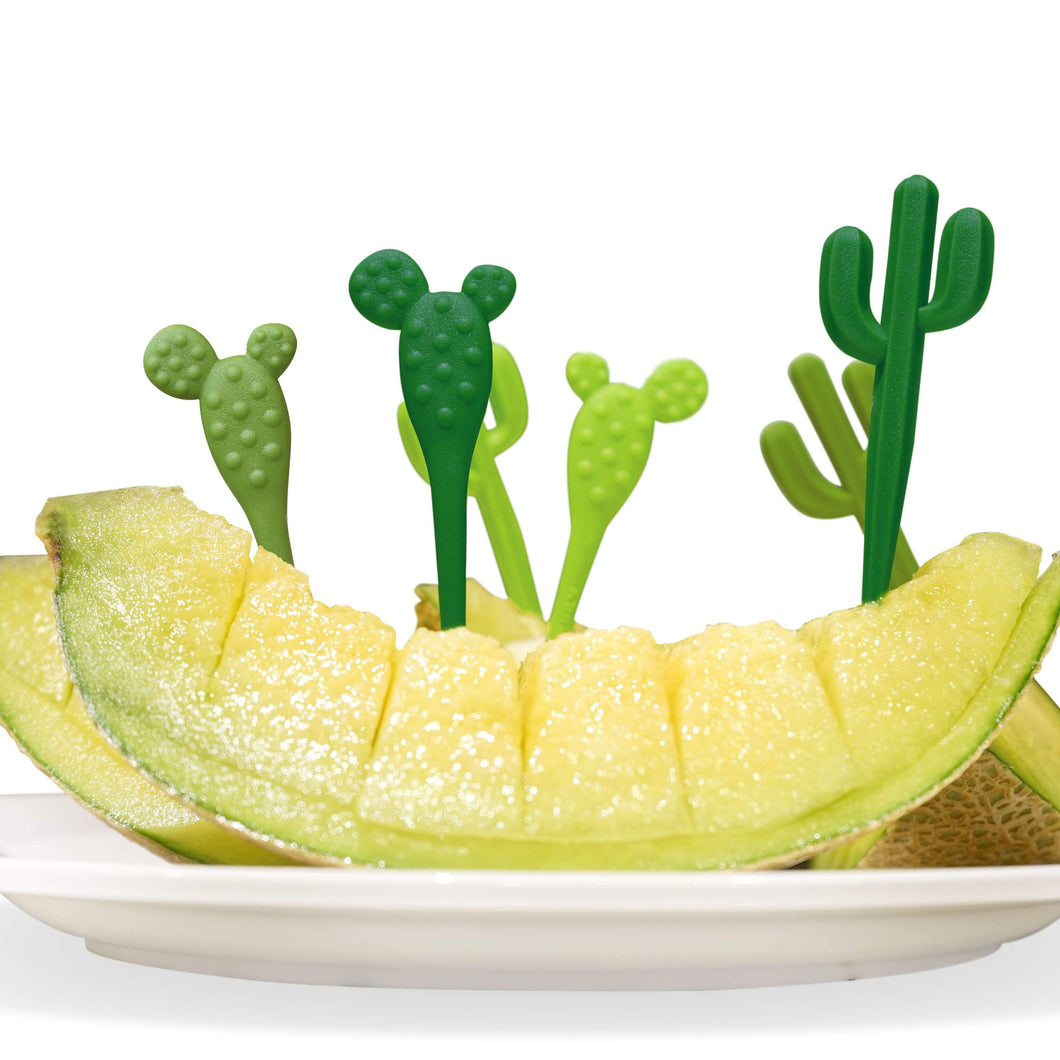 cactus prikkers tandenstoker planten plants plantenliefhebbers feest