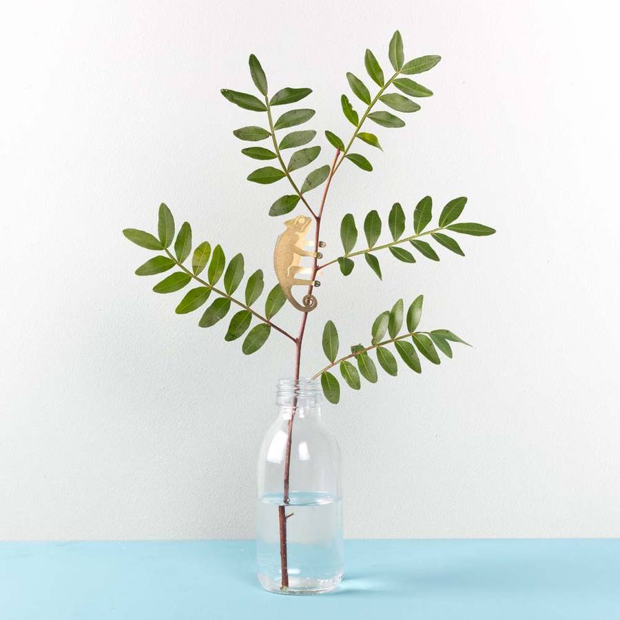 Plantendiertje - Kameleon