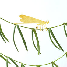 Load image into Gallery viewer, Plant Animal - Damselfly
