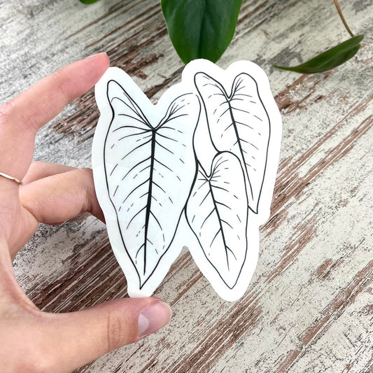Regenboog Sticker - Philodendron