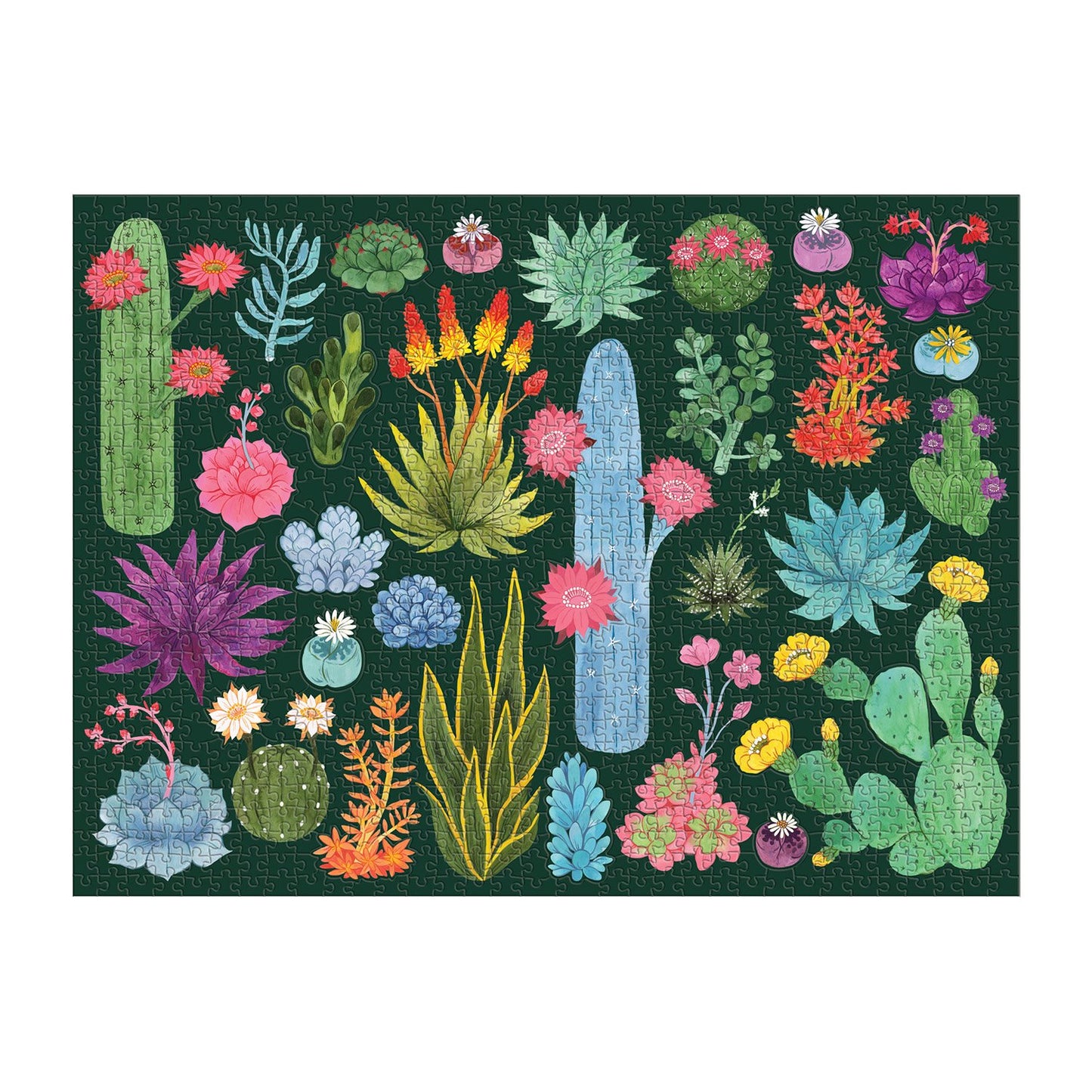 Desert Flora Puzzle