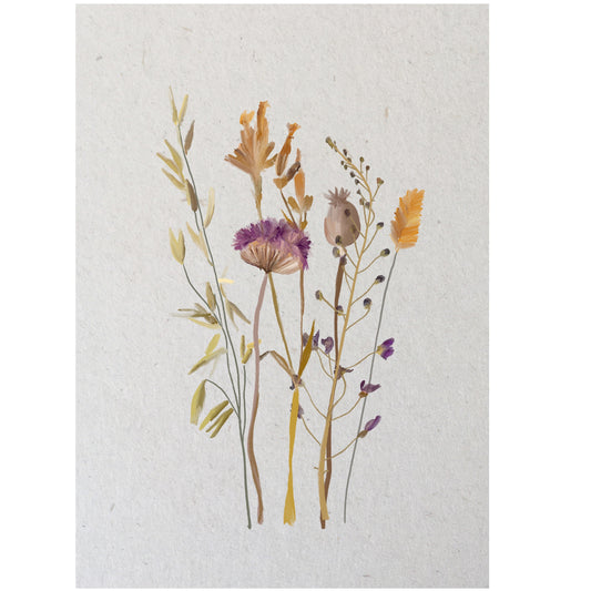 wenskaart gedroogde bloemen
