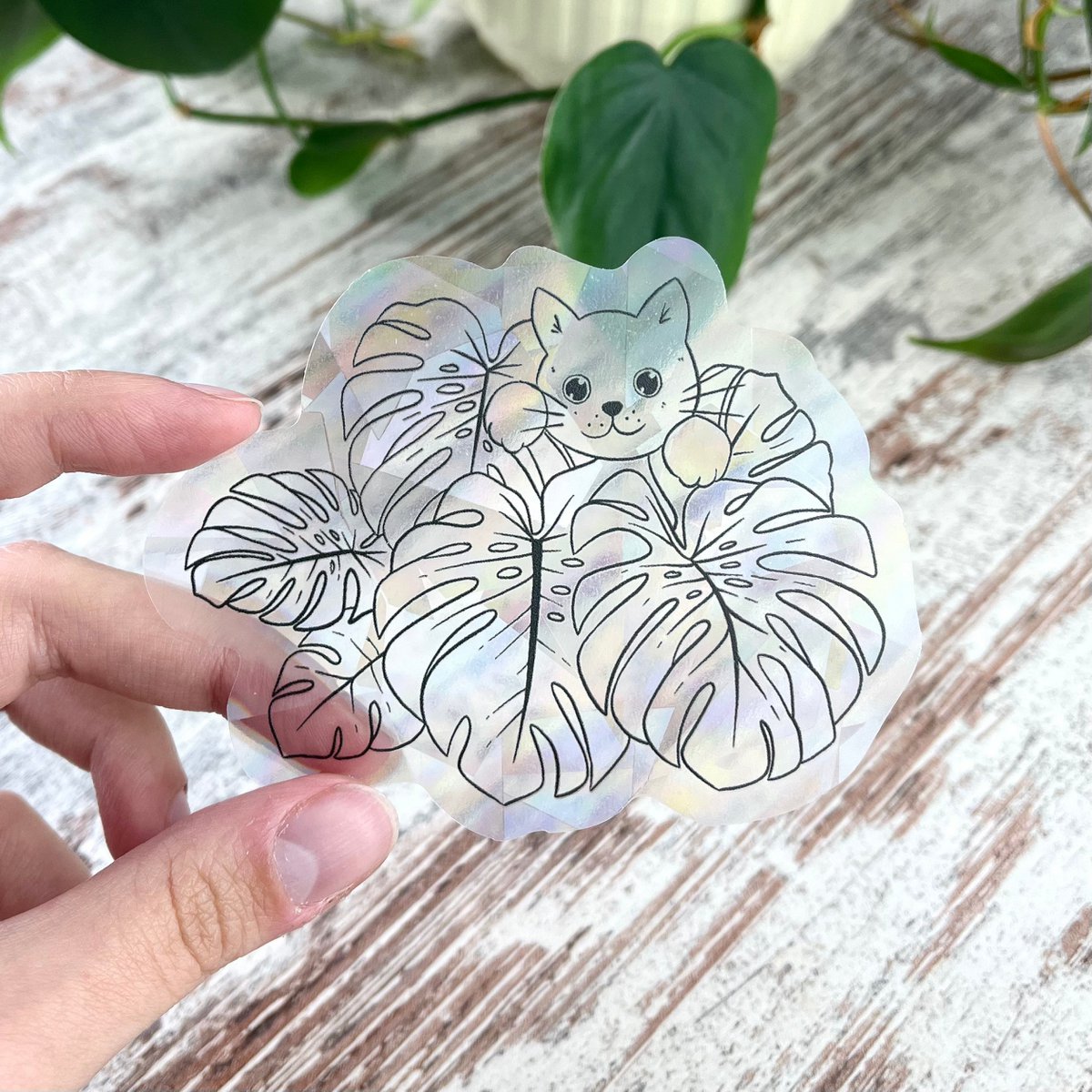 Rainbow Maker - Monstera With Cat