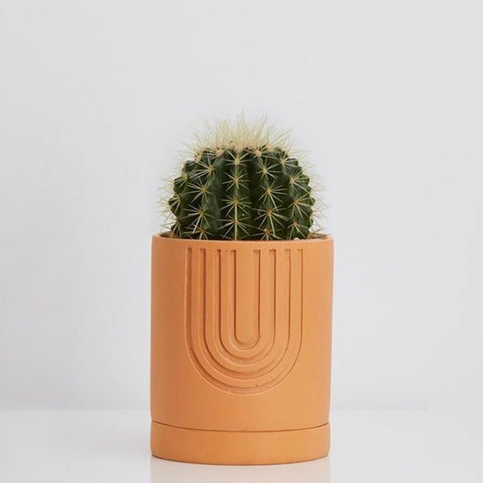 Etch Pot - Desert