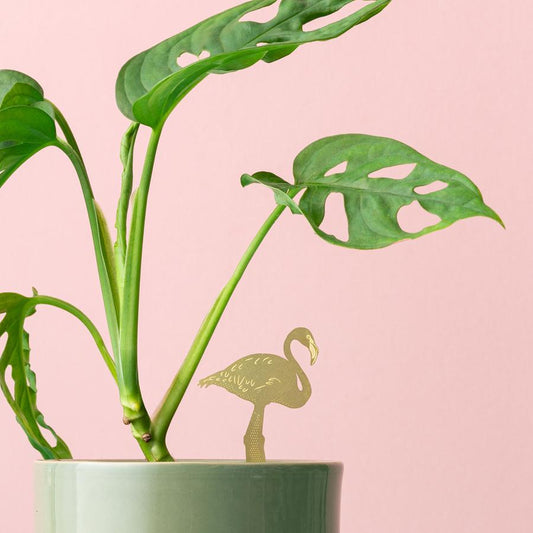 Plantendiertje - Flamingo