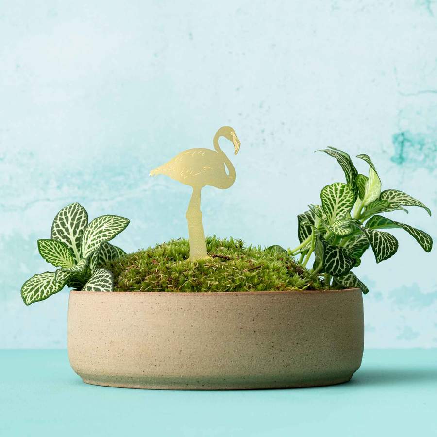 Plant Animal - Flamingo