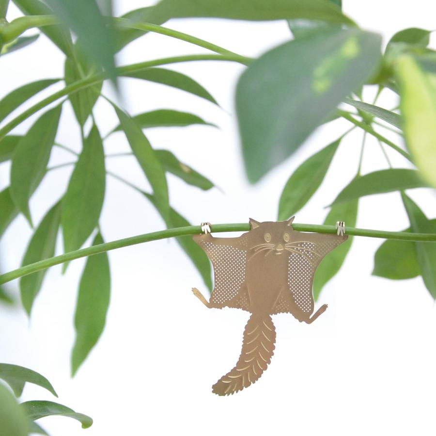 Plantendiertje - Vliegende eekhoorn