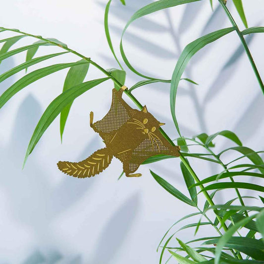 Plantendiertje - Vliegende eekhoorn