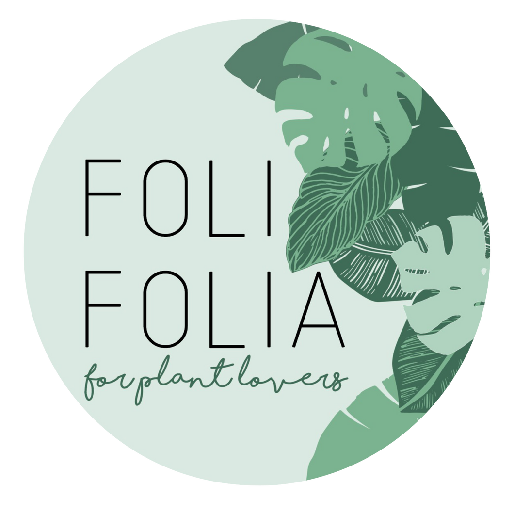 FoliFolia Gift Card