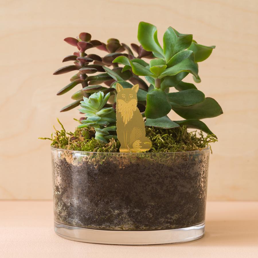 Plant Animal - Fox