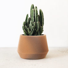 Load image into Gallery viewer, Bloempot pot planter biodegradeble ecodesign 3d print
