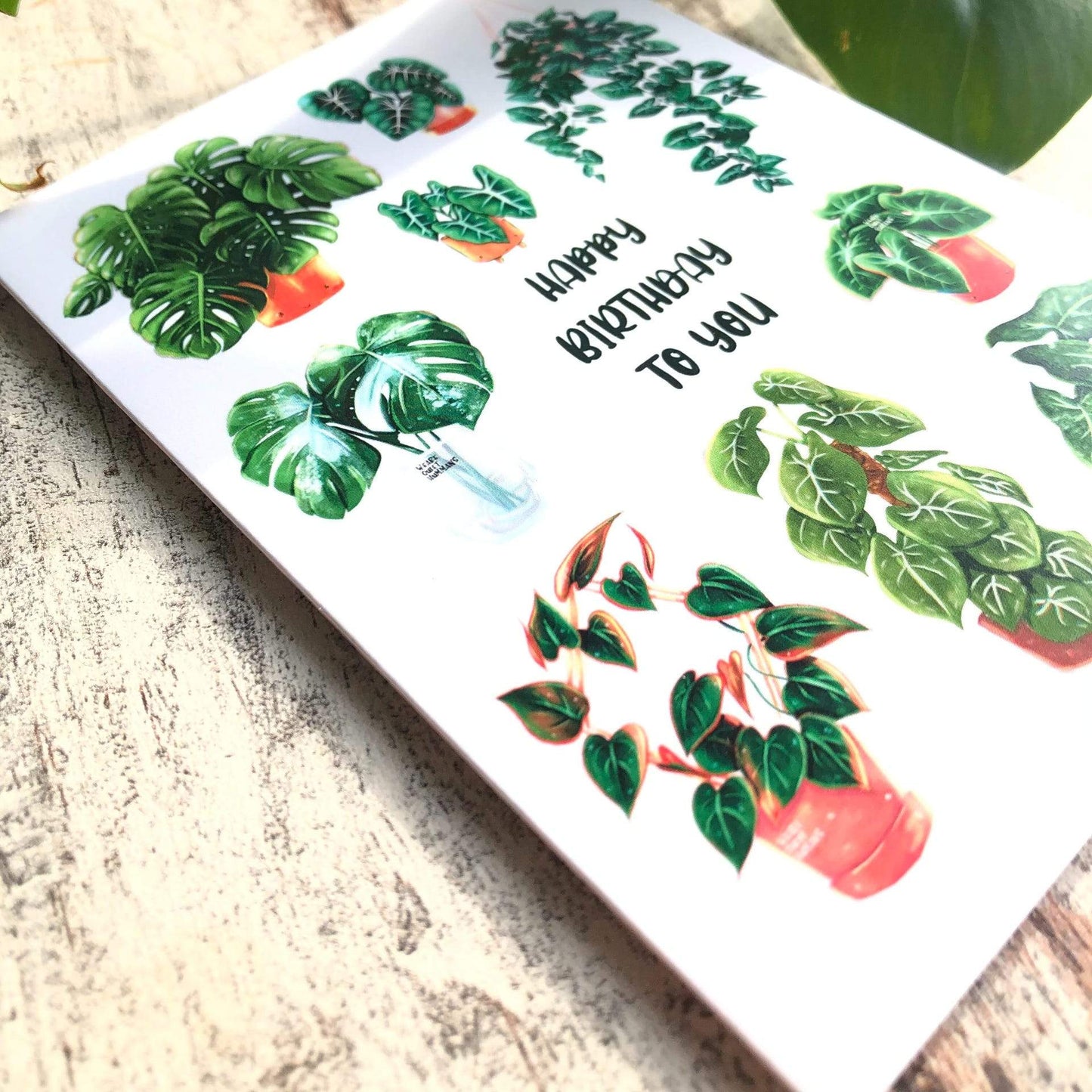 Card - Happy Birthday Plantlover