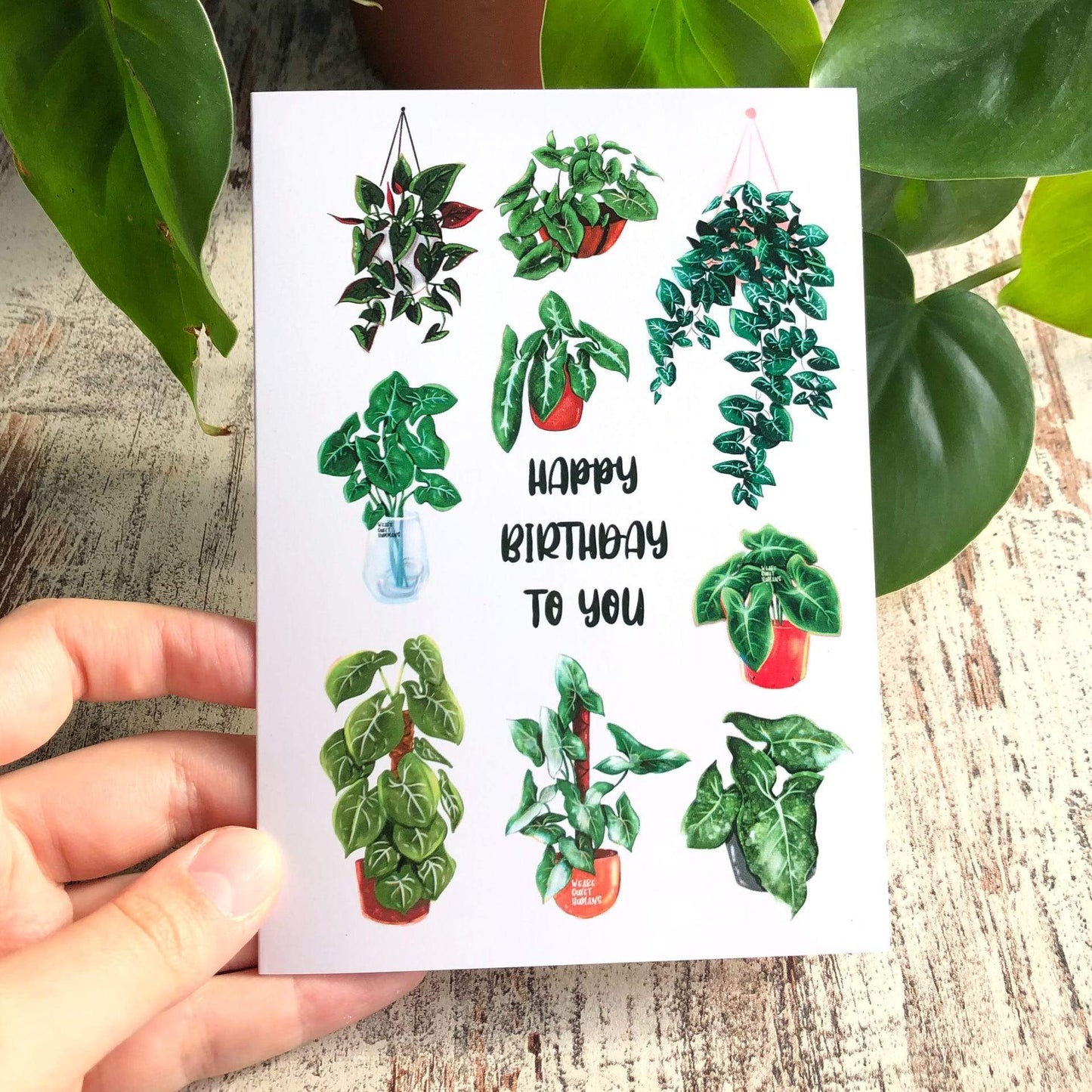 Card - Happy Birthday Syngonium Lover