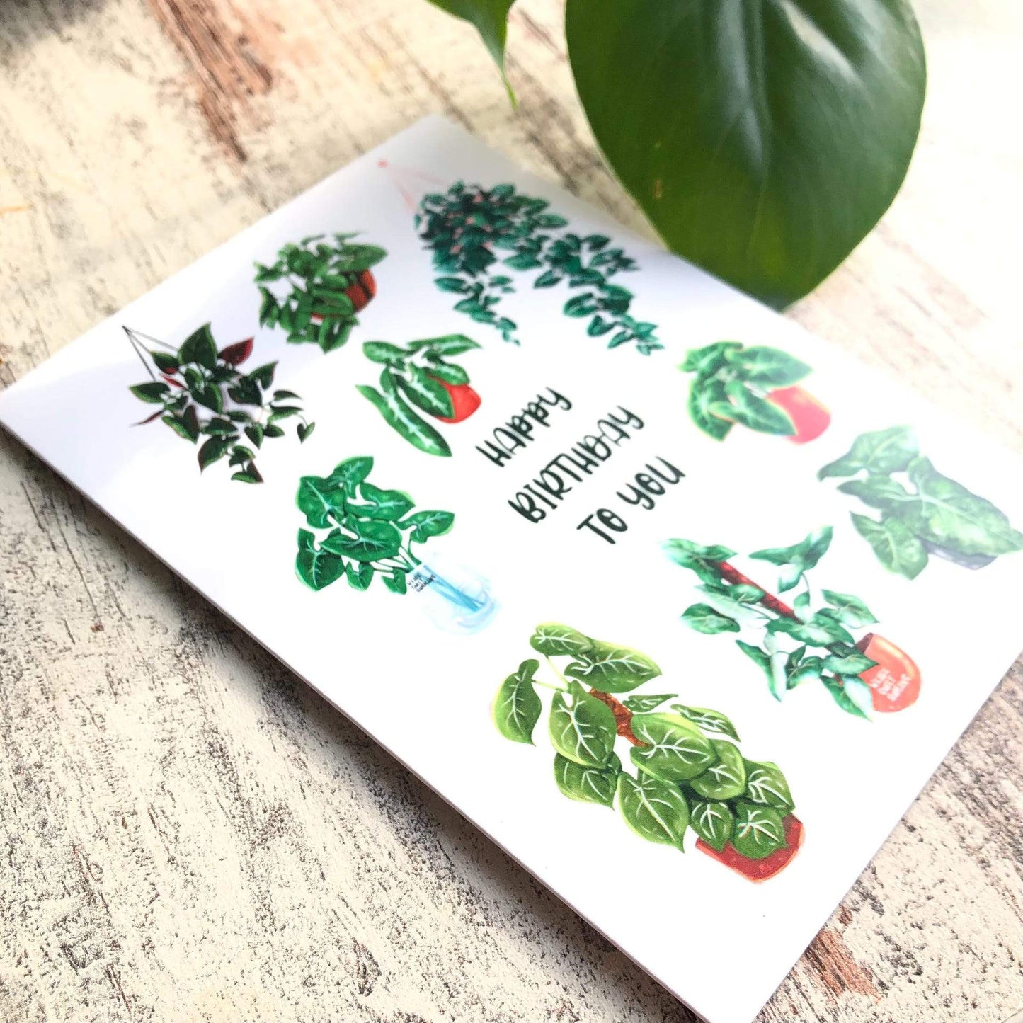 Card - Happy Birthday Syngonium Lover