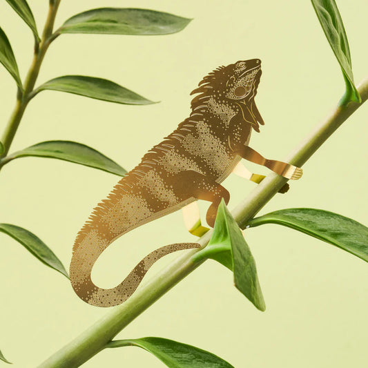 Plantendiertje XL - Leguaan