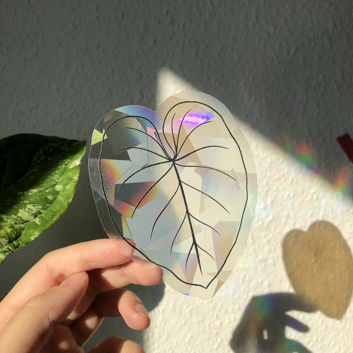 Regenboog Sticker - Philodendron Gloriosum