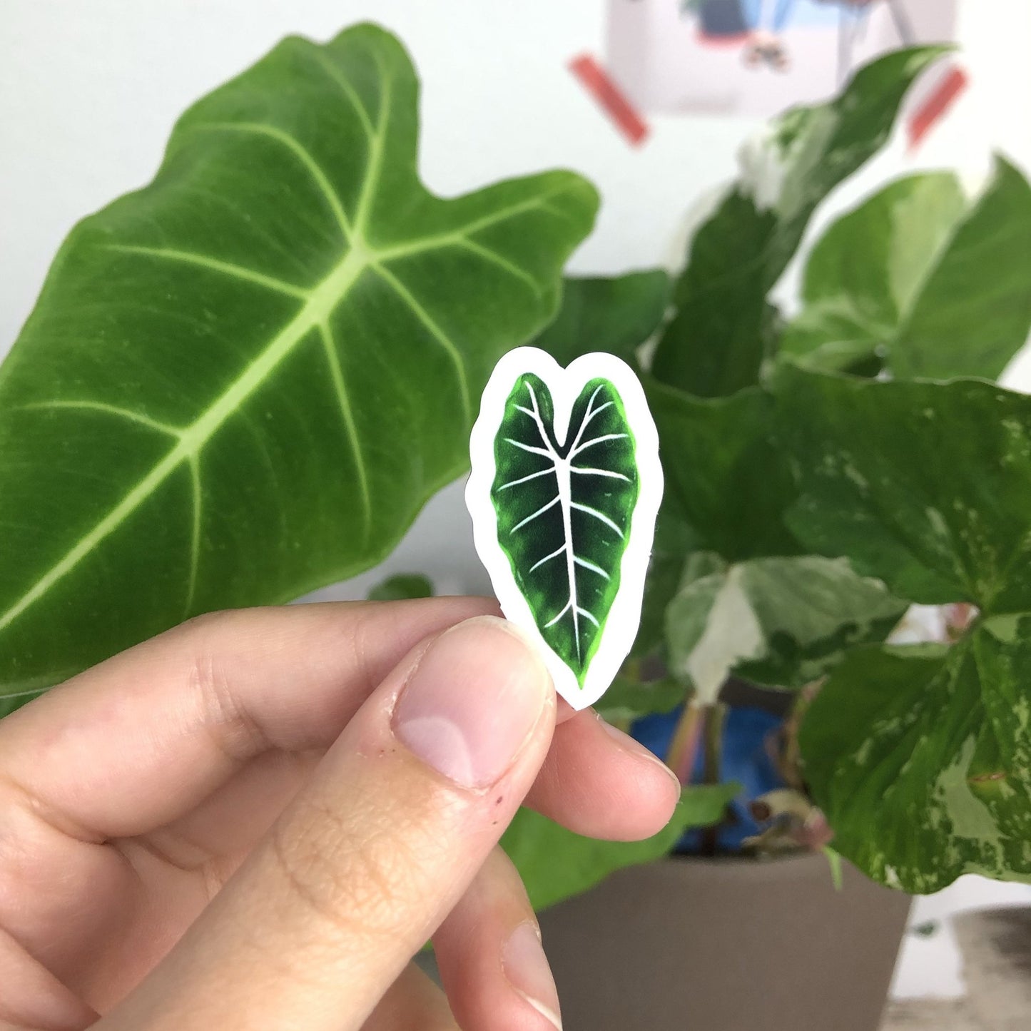Magneten Set 1 - Planten