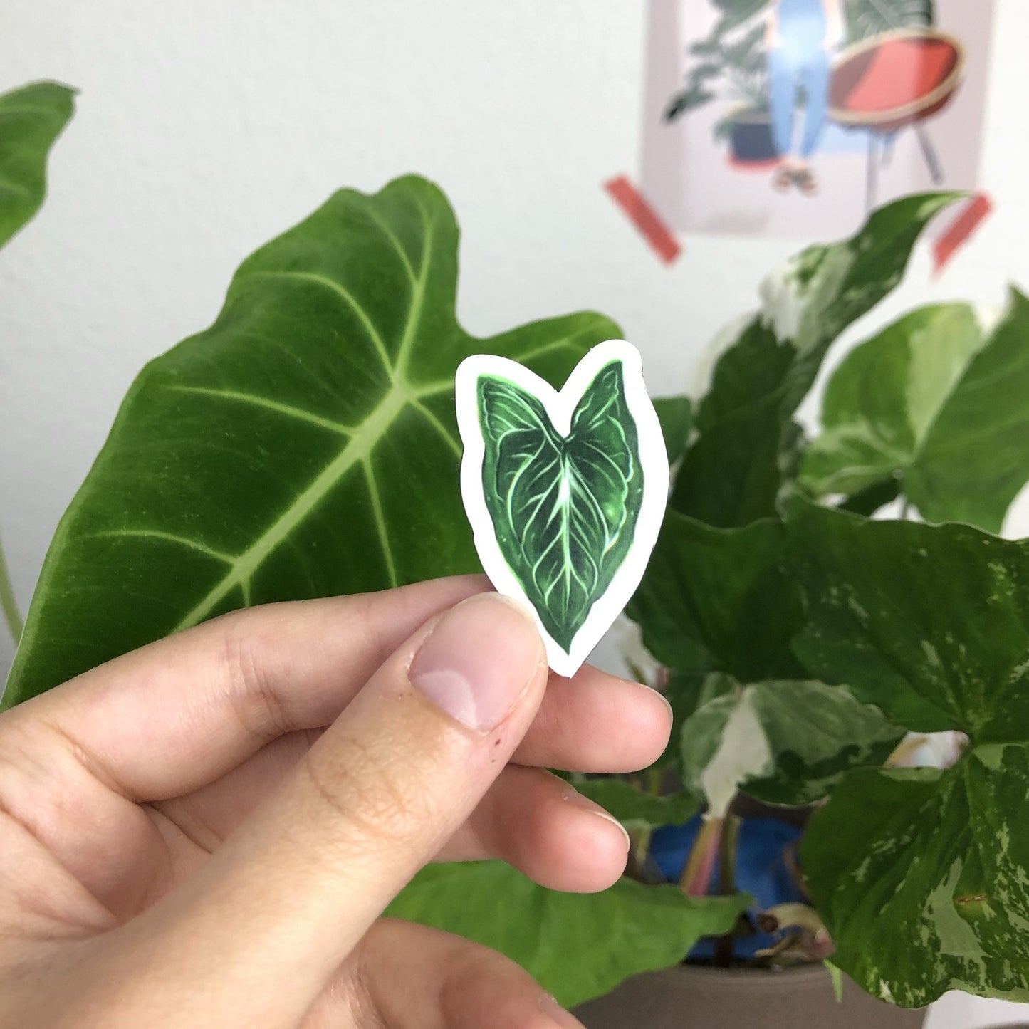 Magneten Set 1 - Planten