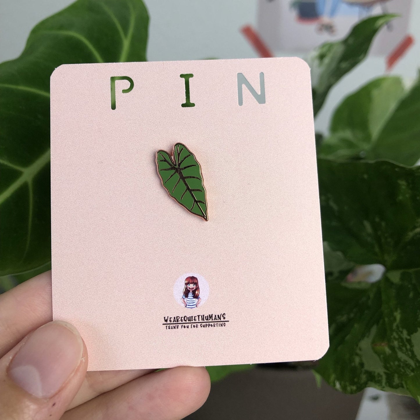 Pin - Alocasia Frydek