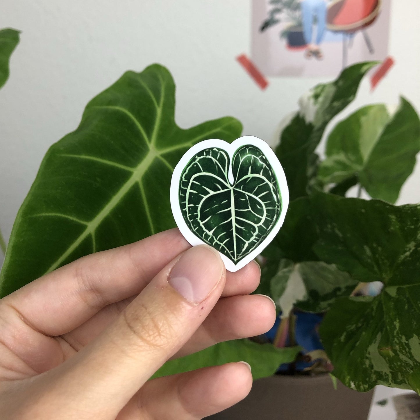 Magneten Set 1 - Planten