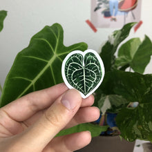 Load image into Gallery viewer, Magnets Set 1 - Plants
