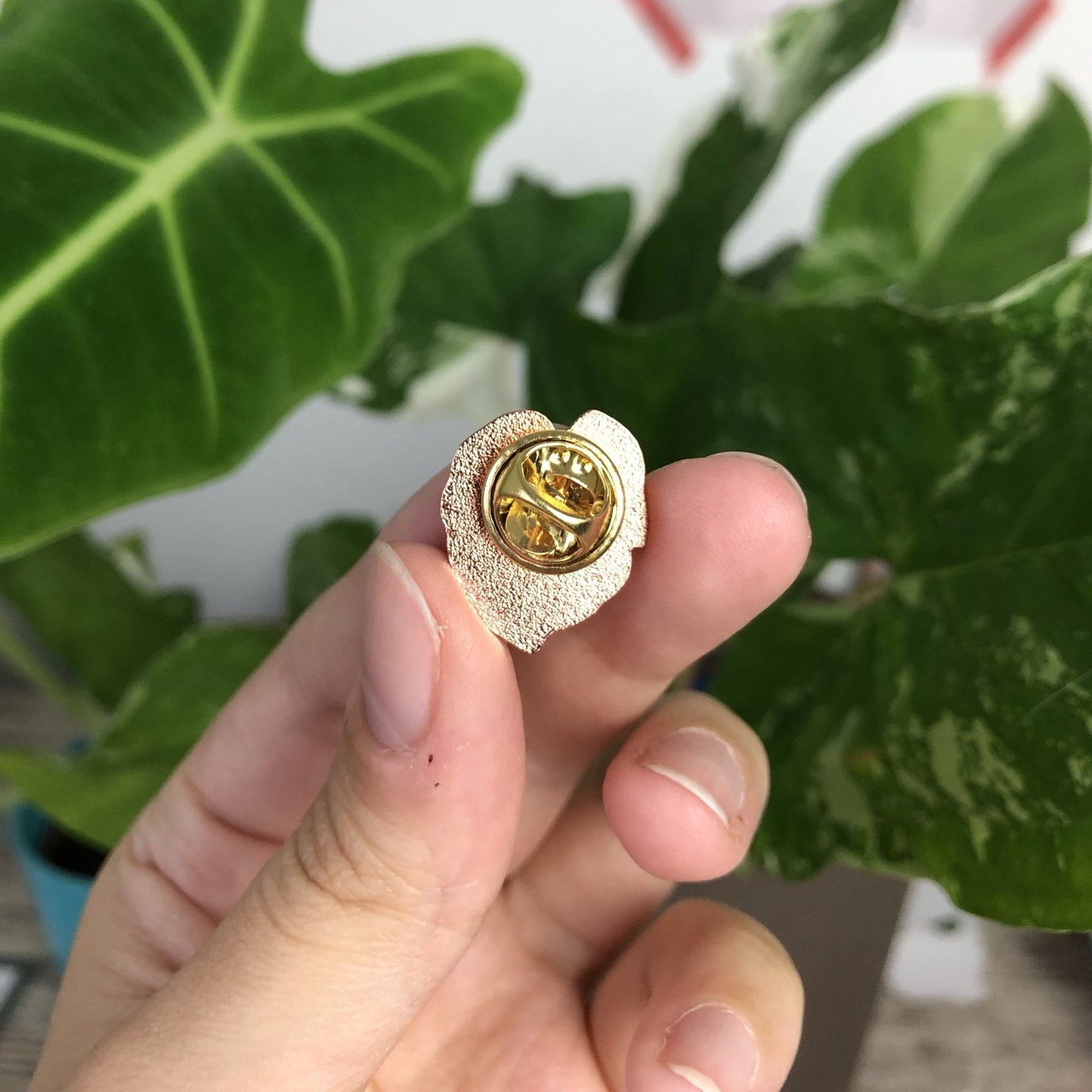 Pin - Monstera Deliciosa