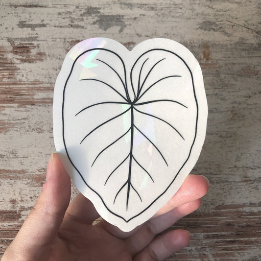 Regenboog Sticker - Philodendron Gloriosum