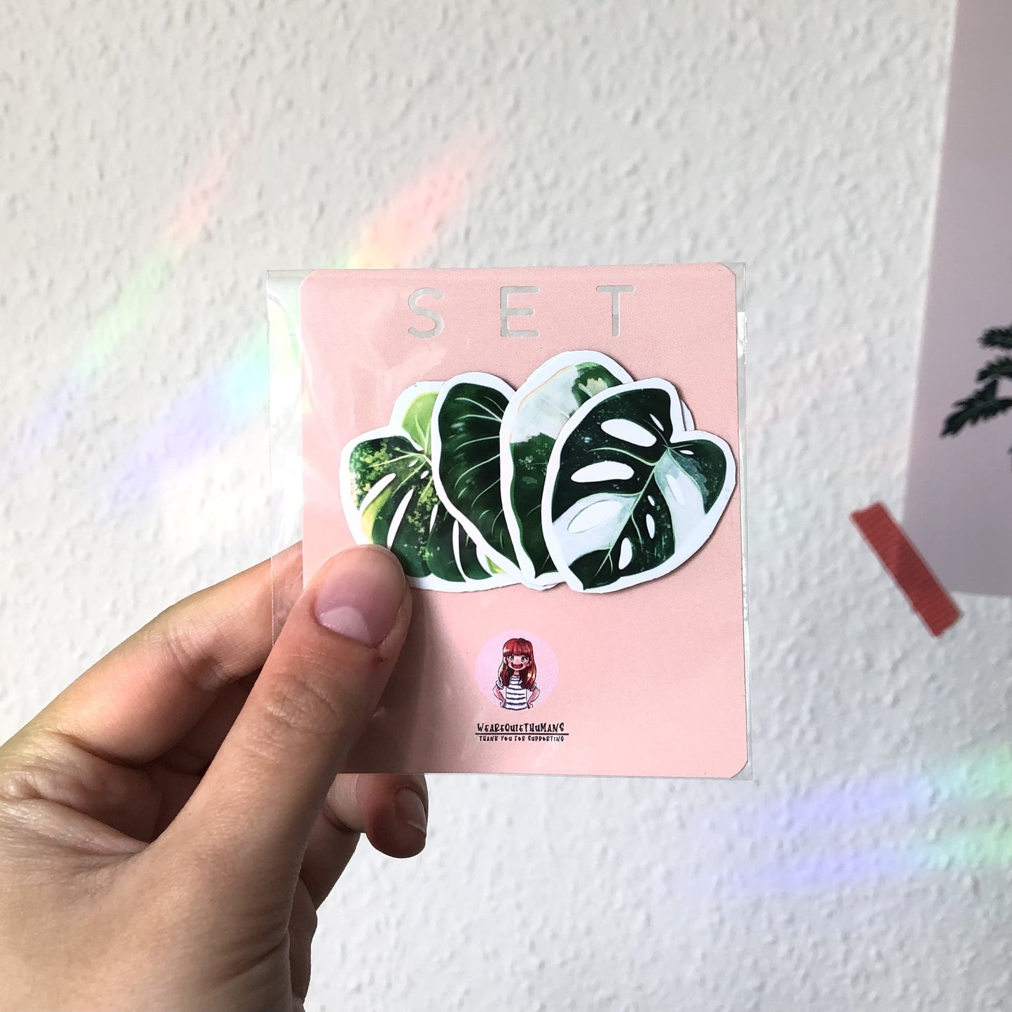 magnets set - variegated plants