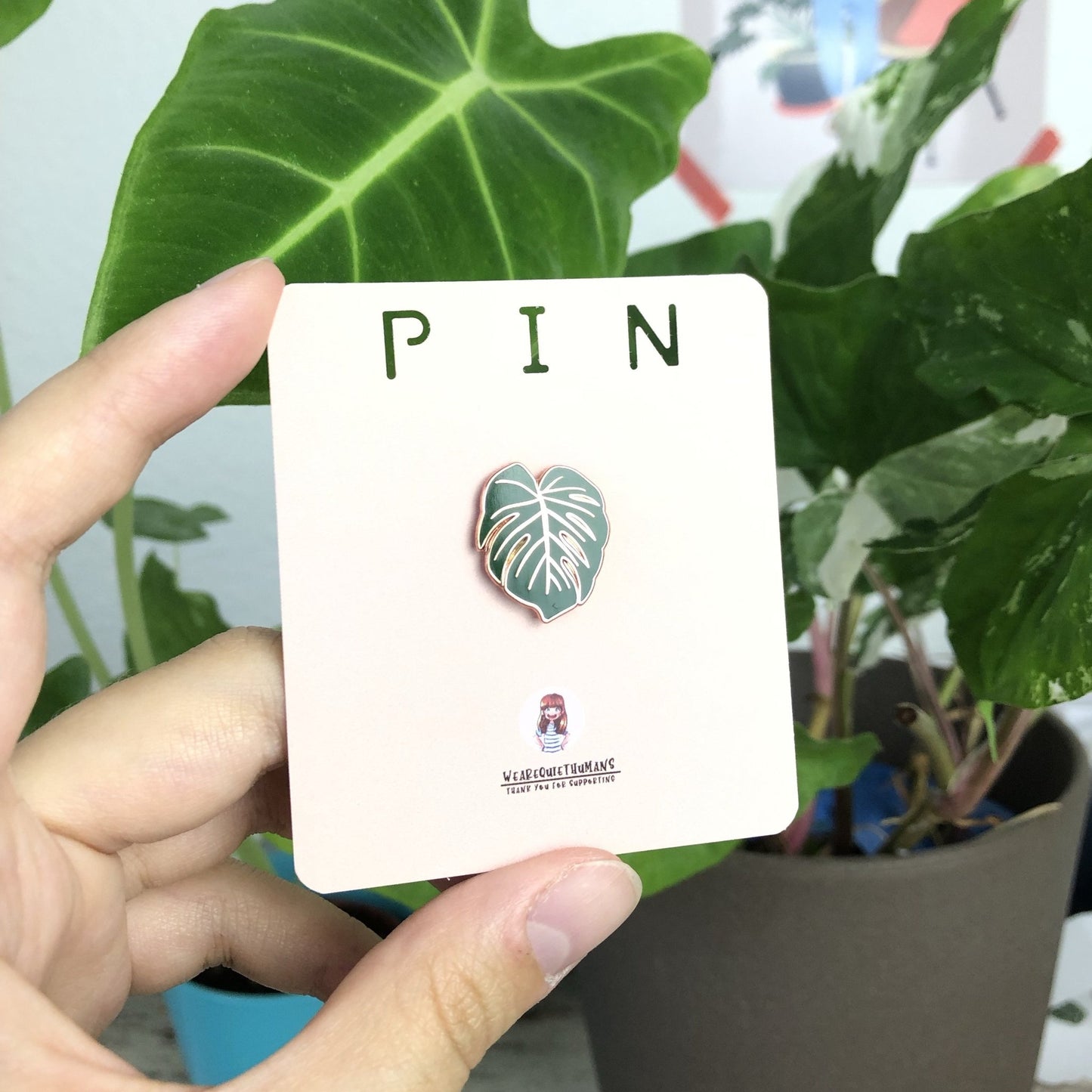 Pin - Monstera Deliciosa