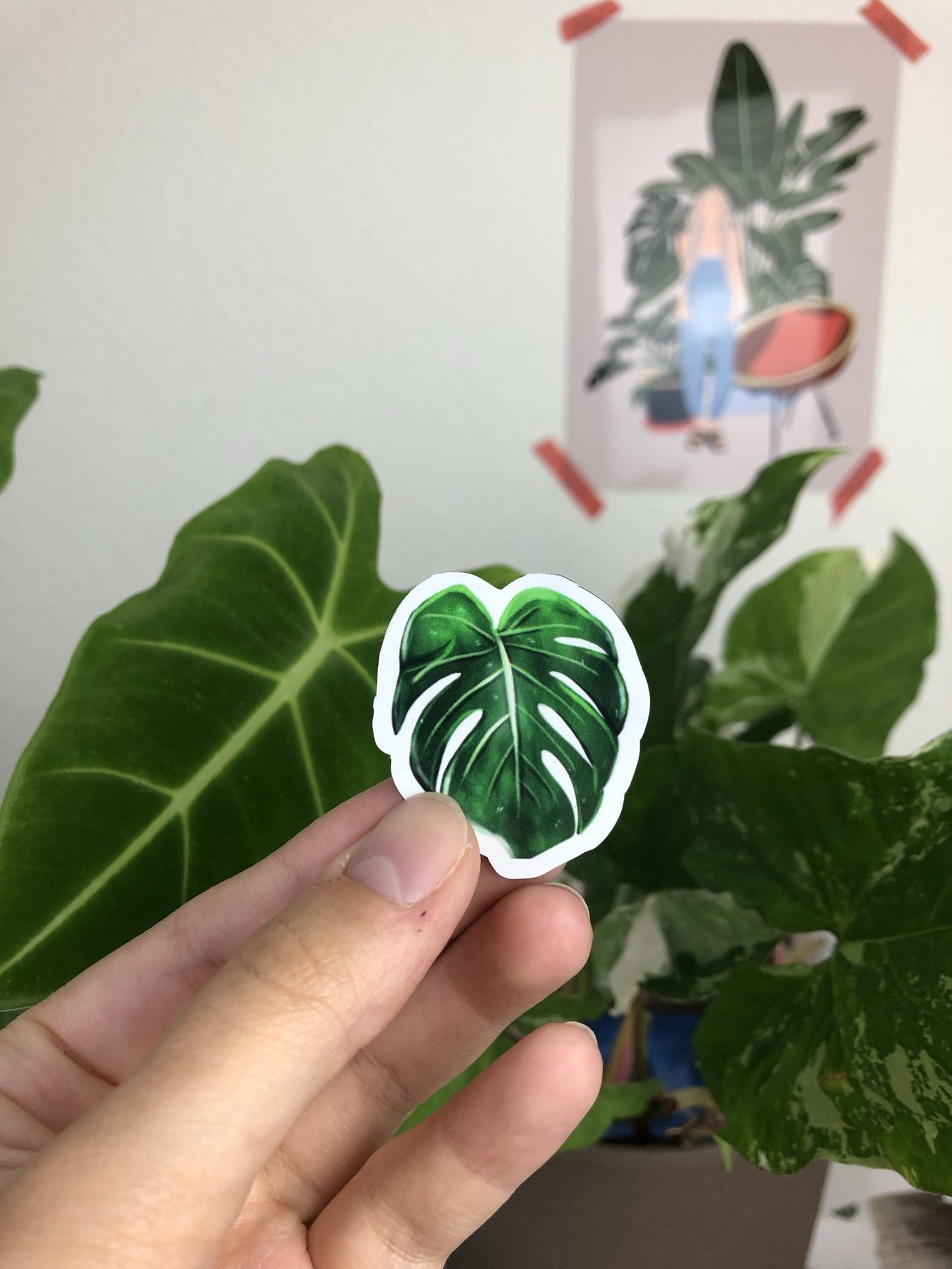 Magneten Set 1 - Planten