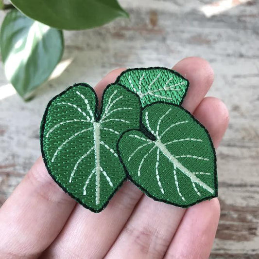 Strijkembleem - Philodendron Gloriosum 3