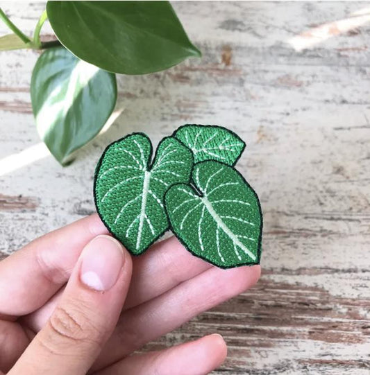 Strijkembleem - Philodendron Gloriosum 3
