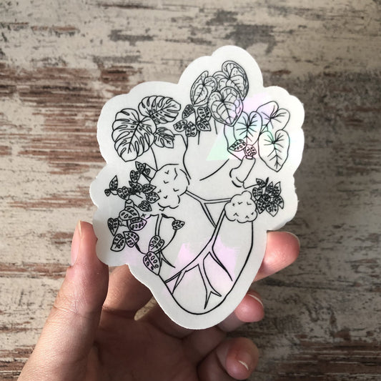Regenboog Sticker - Plantlove