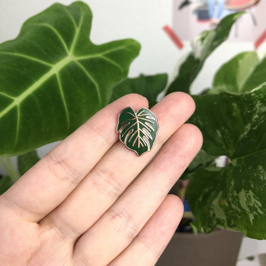Pin - Monstera Deliciosa
