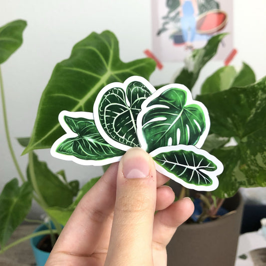 Magneten Set 1 - Planten