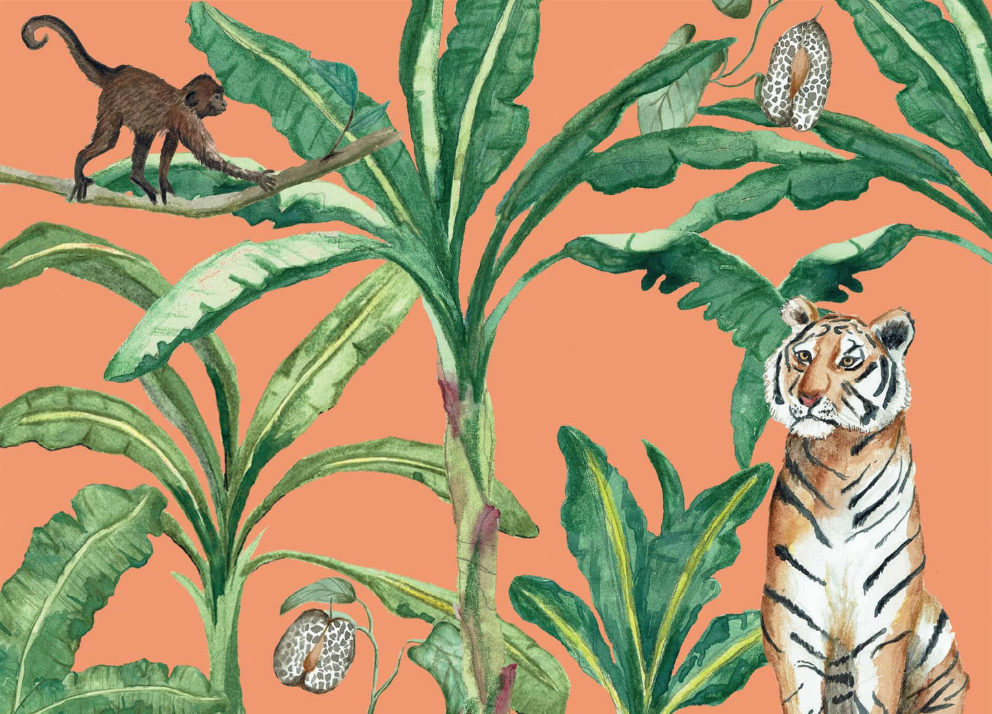 Postkaarten Set - Jungle