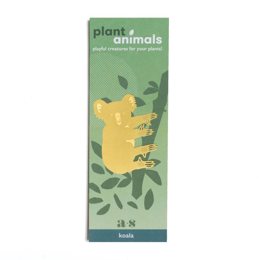 plant animal - koala