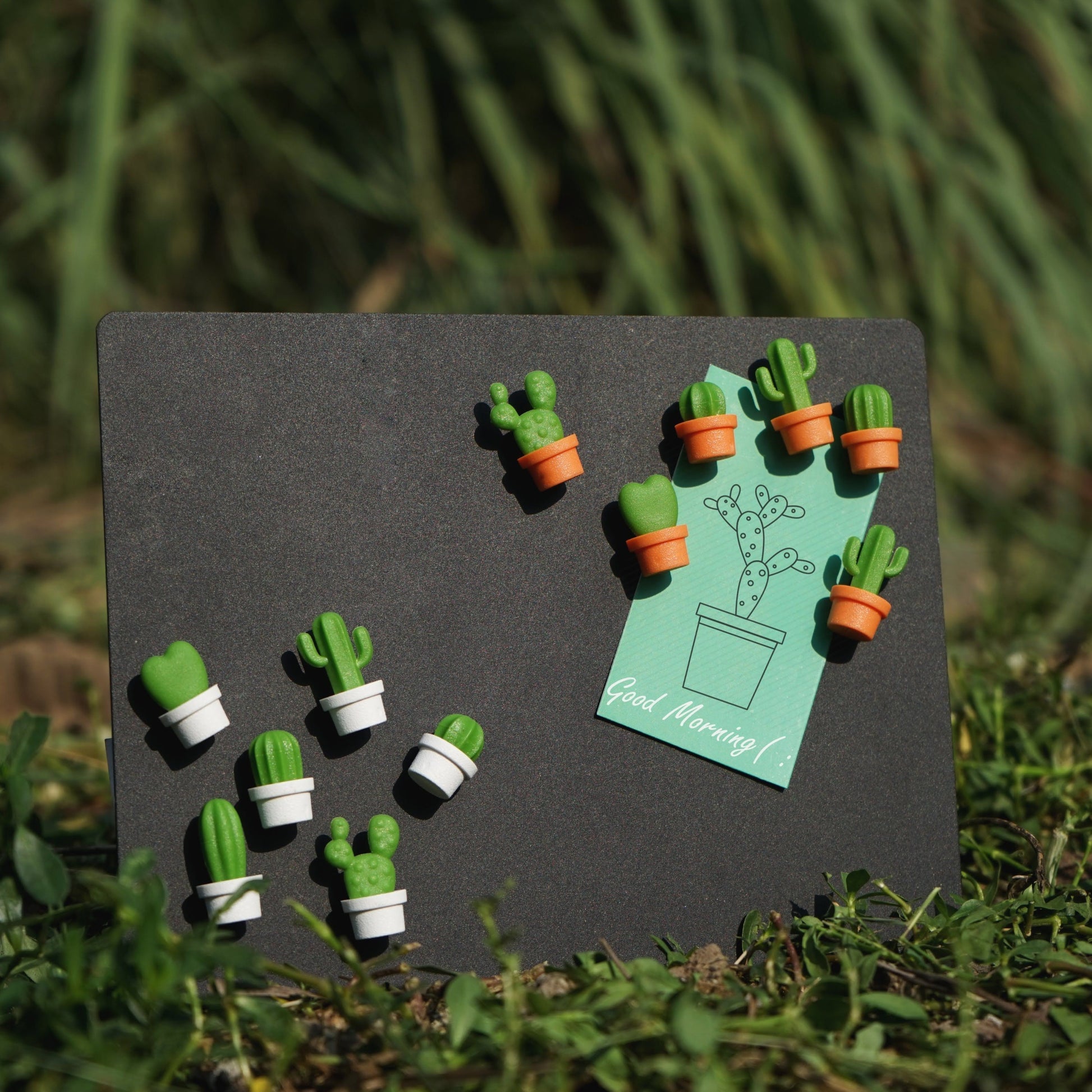 cactus magnets