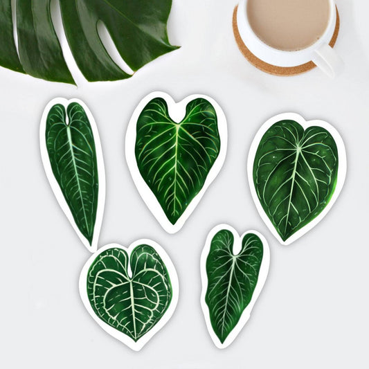 Magneten Set 5 - Anthurium